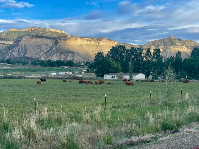 $389,900 | 21043 Road C 7 Cortez Co 81321, Cortez, CO 81321