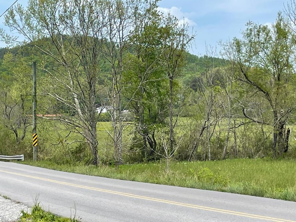 0 Line Springs Road Sevierville, TN 37862 - Photo 8 of 8