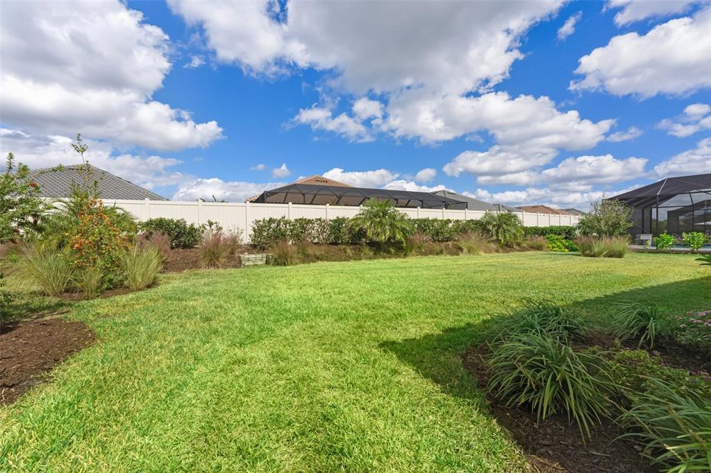 4951 Freccia Loop Wesley Chapel, FL 33543 - Photo 39 of 43 a view of a big yard with lots of green space
