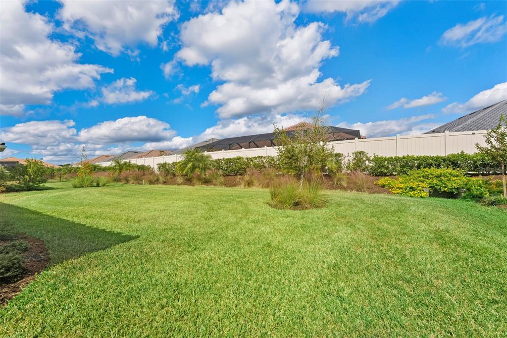 4951 Freccia Loop Wesley Chapel, FL 33543 - Photo 41 of 43 a view of a big yard with swimming pool and green space