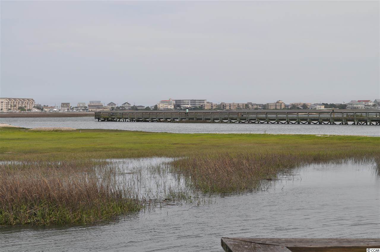 4952 Forsythia Circle, Unit 4952 Murrells Inlet, SC 29576 - Photo 24 of 25 Gallery Image 24