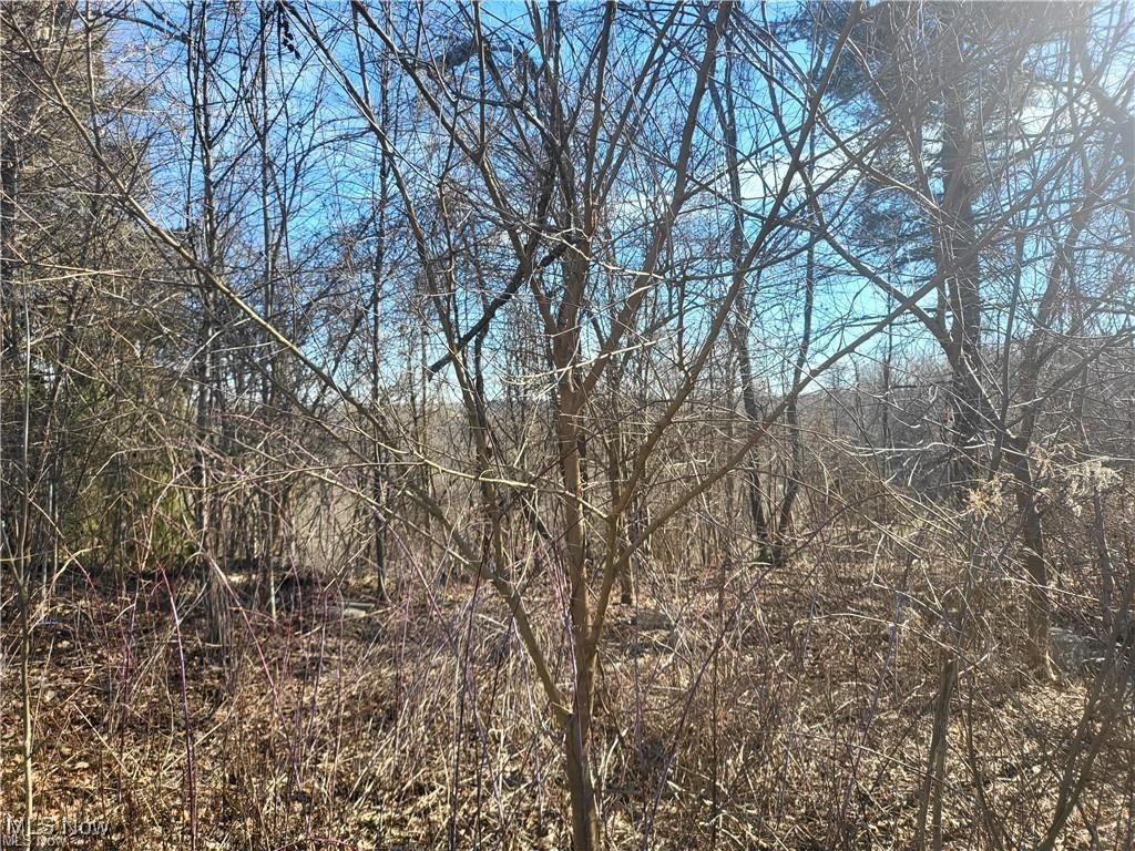 51737 Key Bellaire Road Bellaire, OH 43906 - Photo 5 of 5