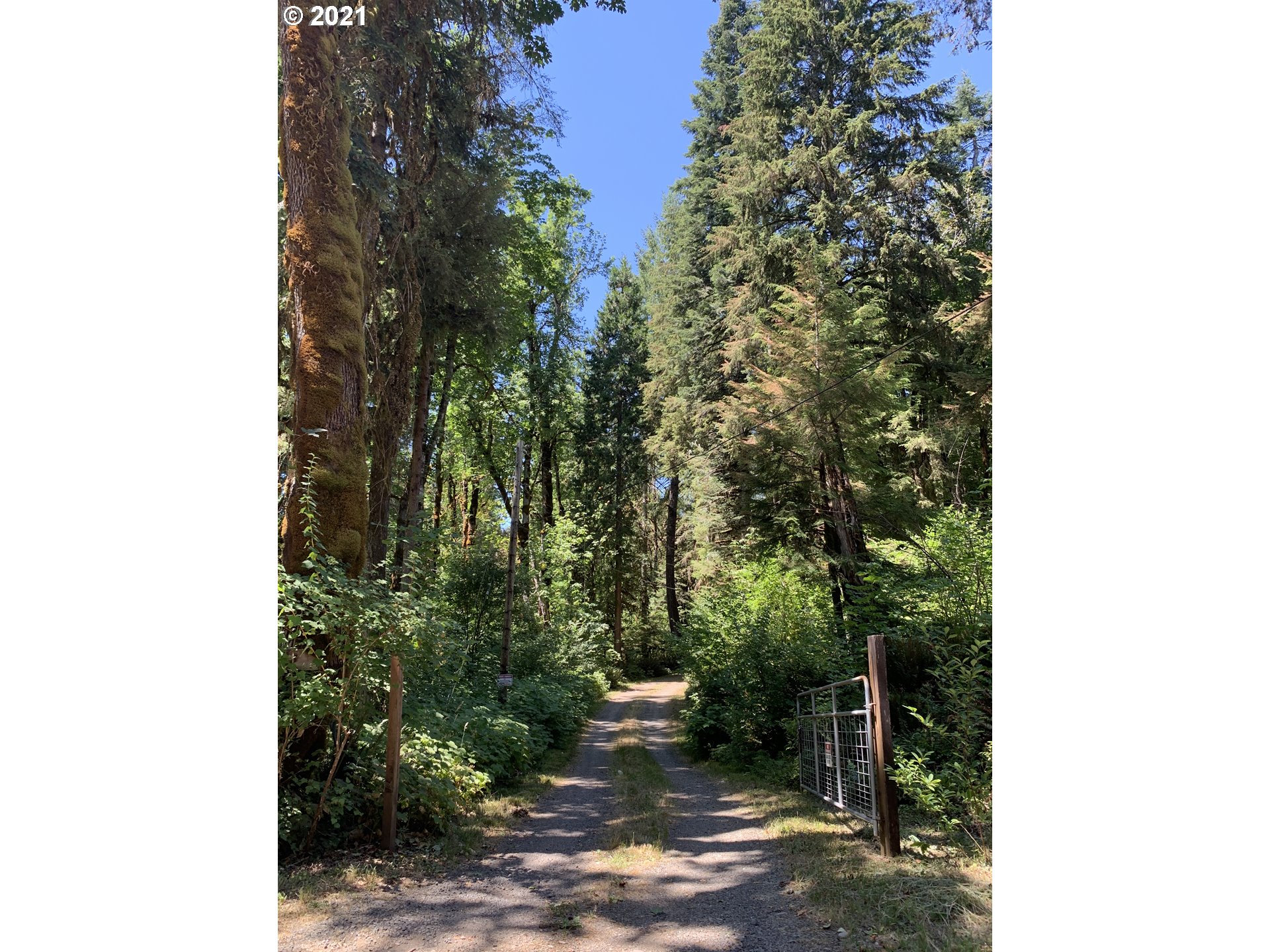 91890 Mill Creek Road Blue River, OR 97413 - Photo 2 of 32 Gallery Image 2
