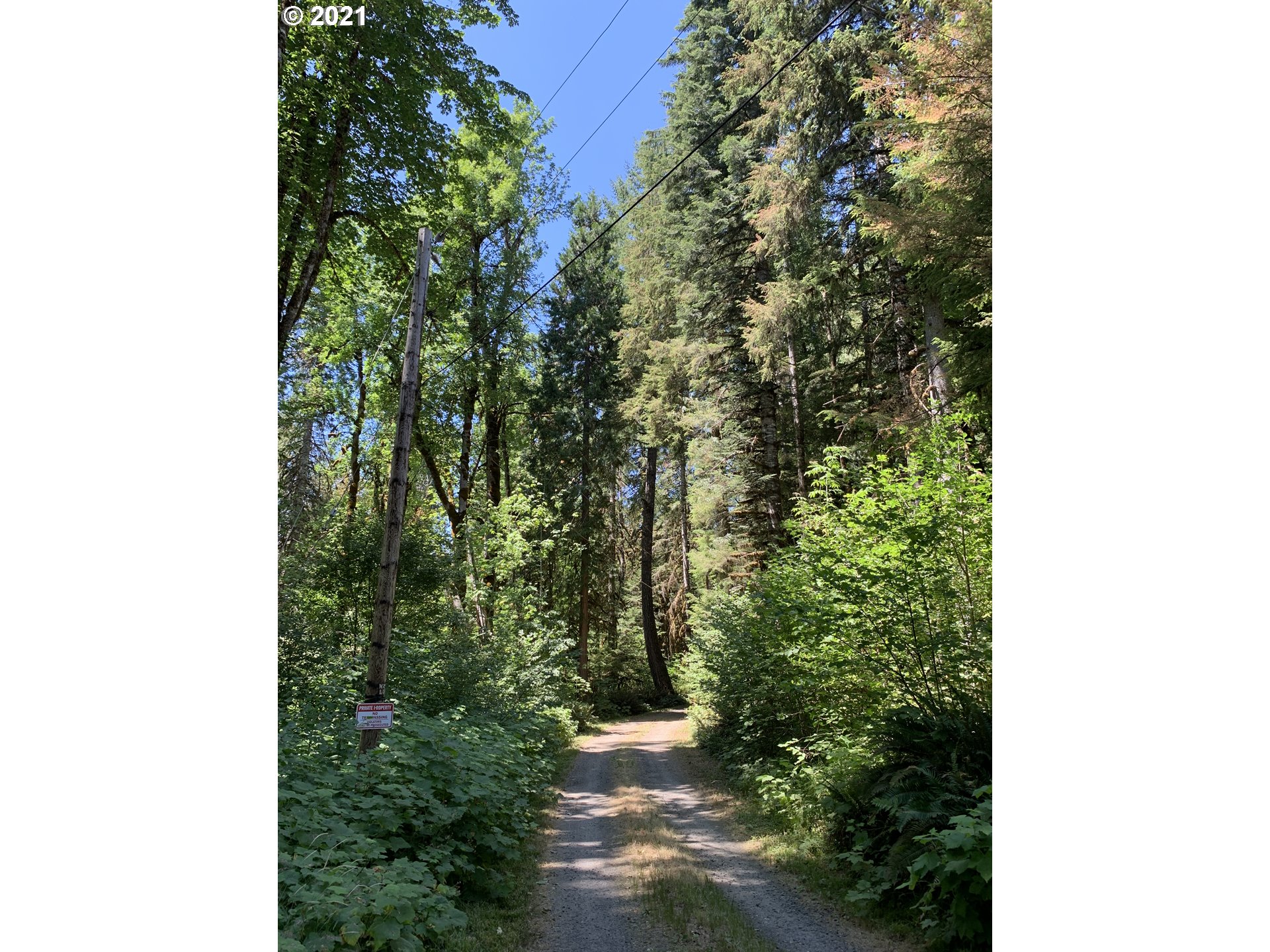91890 Mill Creek Road Blue River, OR 97413 - Photo 28 of 32 Gallery Image 28