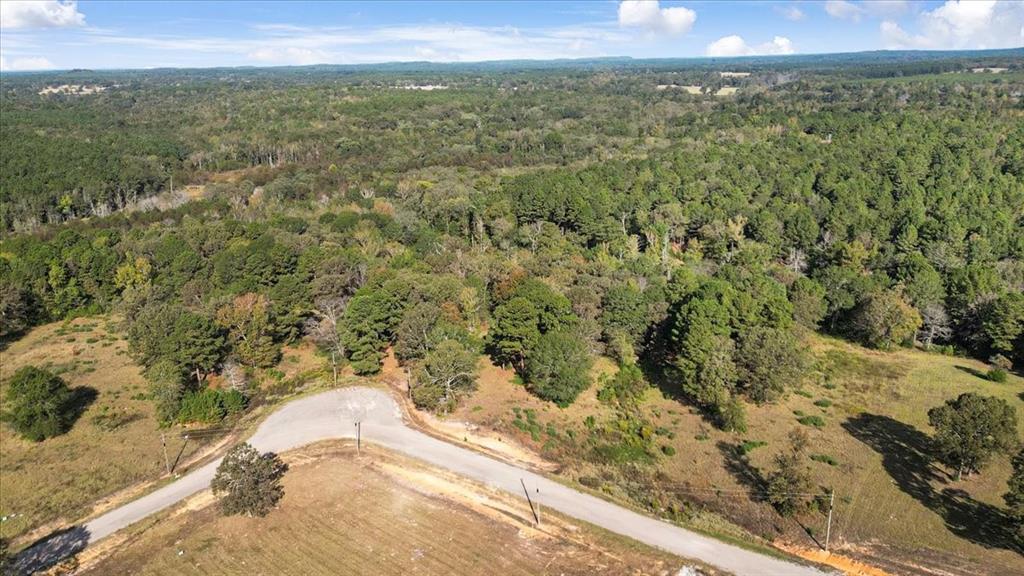 Tbd Pr 3398 Road Big Sandy, TX 75755 - Photo 17 of 19 a view of a yard with an outdoor space