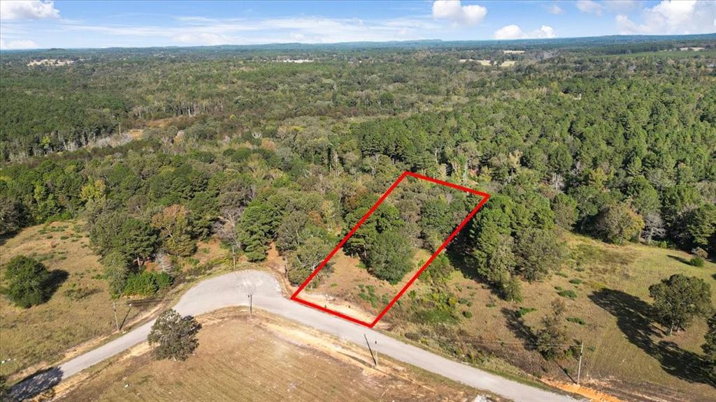 Tbd Pr 3398 Road Big Sandy, TX 75755 - Photo 18 of 19 a view of a forest with a lake