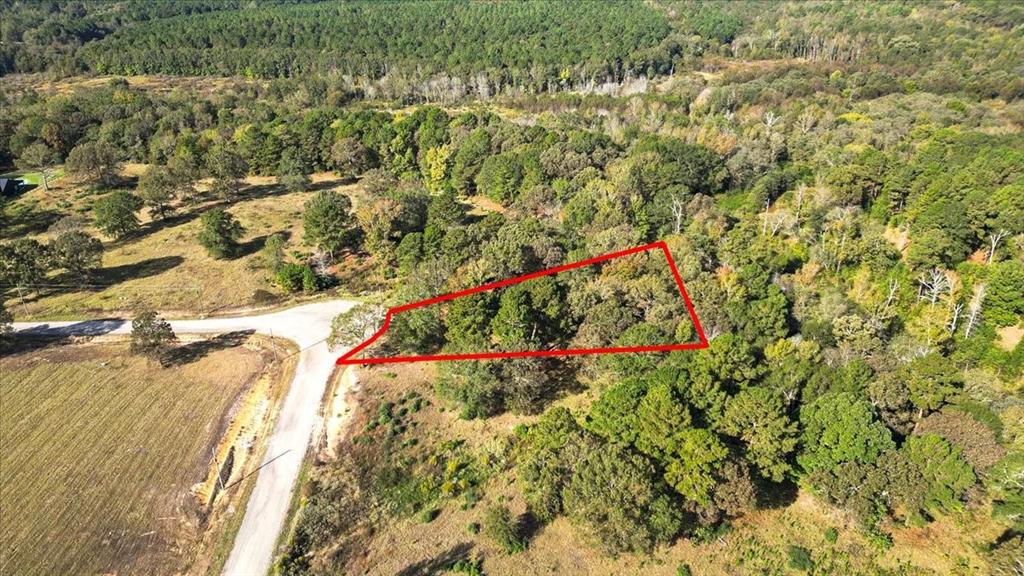 Tbd Pr 3398 Road Big Sandy, TX 75755 - Photo 3 of 19 a close up of a flower in a garden