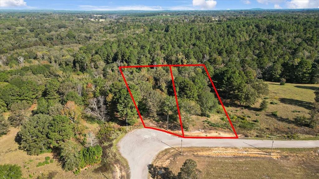 Tbd Pr 3398 Road Big Sandy, TX 75755 - Photo 6 of 19 a view of a park with large trees