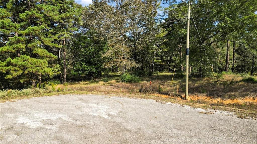 Tbd Pr 3398 Road Big Sandy, TX 75755 - Photo 8 of 19 a view of a wooden house with a yard and large trees