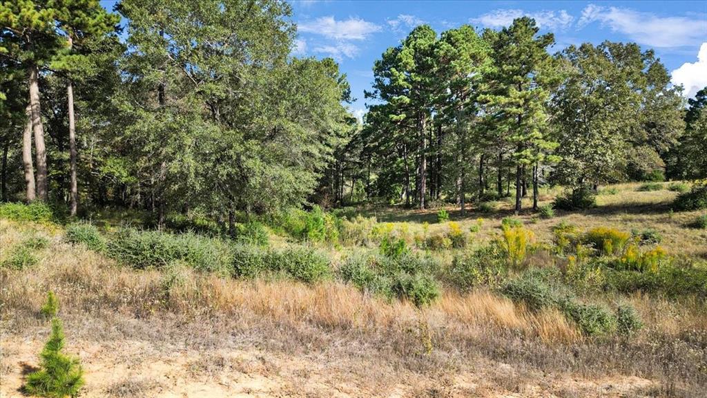 Tbd Pr 3398 Road Big Sandy, TX 75755 - Photo 9 of 19 a view of a yard with a tree
