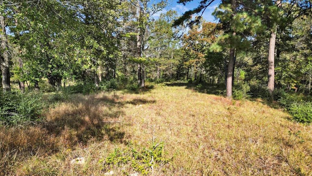 Tbd Pr 3398 Road Big Sandy, TX 75755 - Photo 10 of 19 a view of yard