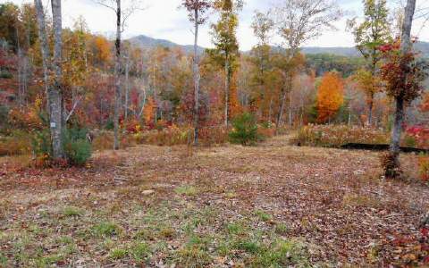 Lot1 Beaver Ridge Road Blairsville, GA 30512 - Photo 1 of 1 Main View