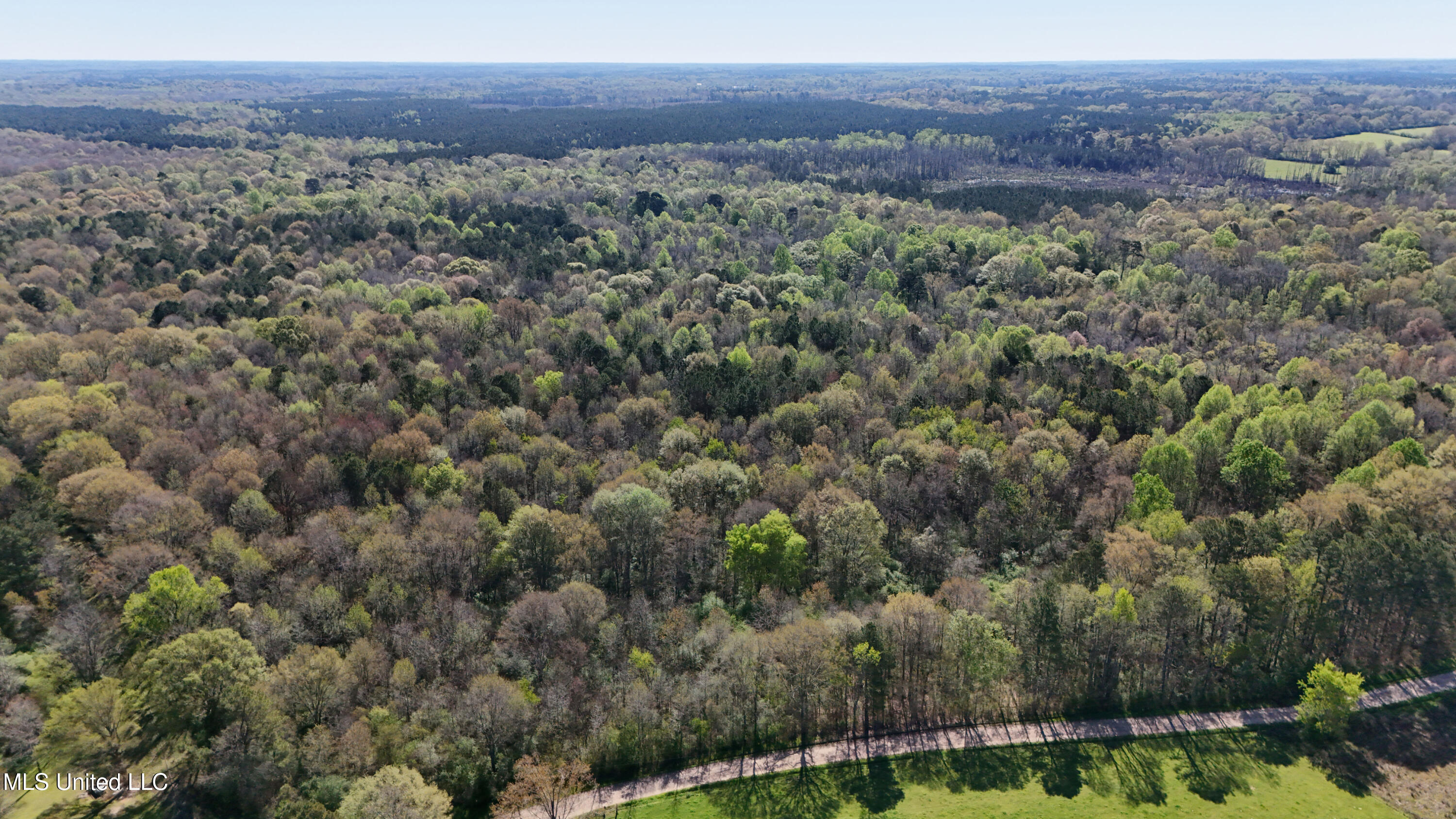 Thrash Road Union, MS 39365 - Photo 12 of 23 DJI_20240330102433_0070_D