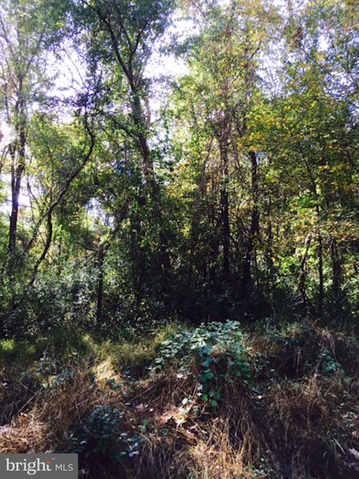 0 Hoods Mill Road Southwest Cooksville, MD 21723 - Photo 2 of 5 Gallery Image 2