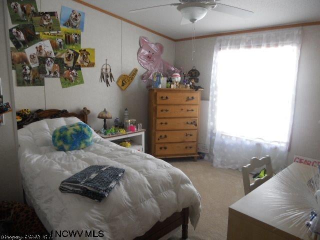 147 Sunset Drive Reedsville, WV 26547 - Photo 7 of 17 Gallery Image 7