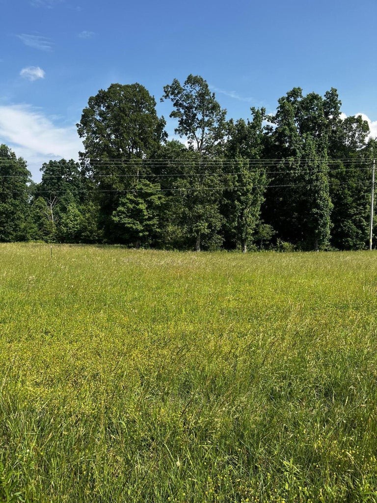 920 Big Neck Road Grandview, TN 37337 - Photo 3 of 11 a view of a green yard with a house in the background