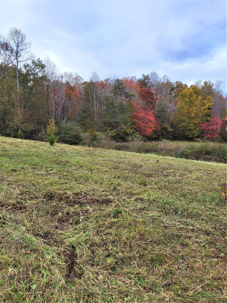 920 Big Neck Road Grandview, TN 37337 - Photo 8 of 11 a view of outdoor space and city view