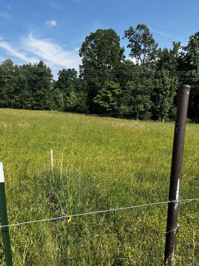 920 Big Neck Road Grandview, TN 37337 - Photo 10 of 11 a view of a yard