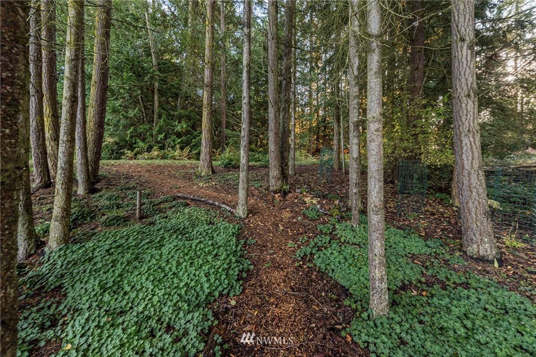 722 Miller Road Sequim, WA 98382 - Photo 23 of 25