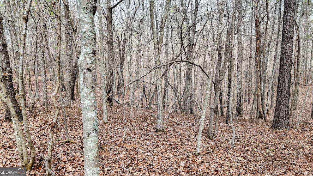 0 Felton Rockmart Road Buchanan, GA 30113 - Photo 34 of 47