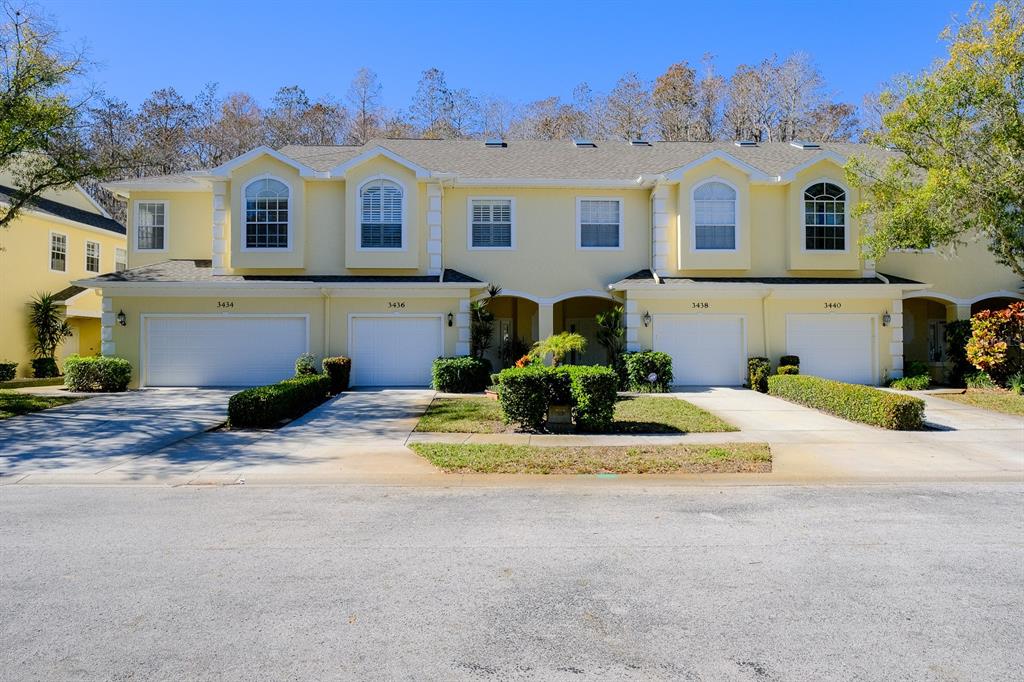 3434 Primrose Way Palm Harbor, FL 34683 - Photo 1 of 1