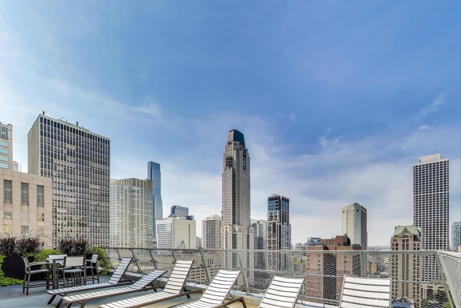 1000 North Lake Shore Plaza, Unit 804 Chicago, IL 60611 - Photo 17 of 25 a view of city with tall buildings