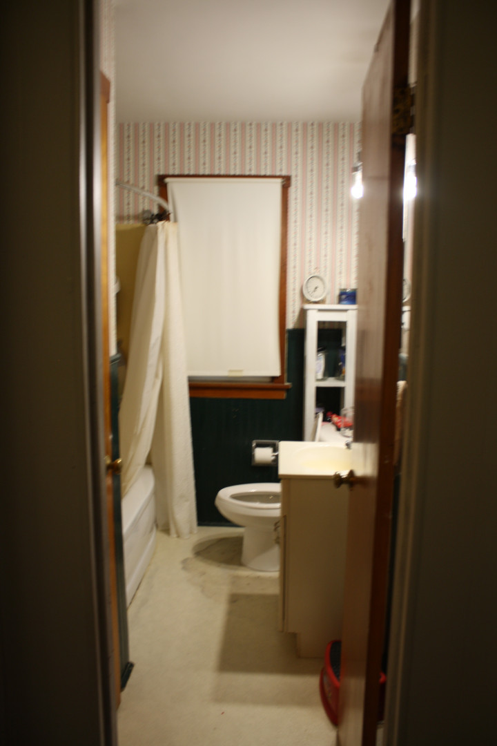 1 Elm Drive Bethany, IL 61914 - Photo 31 of 37 a bathroom with a sink a toilet and shower