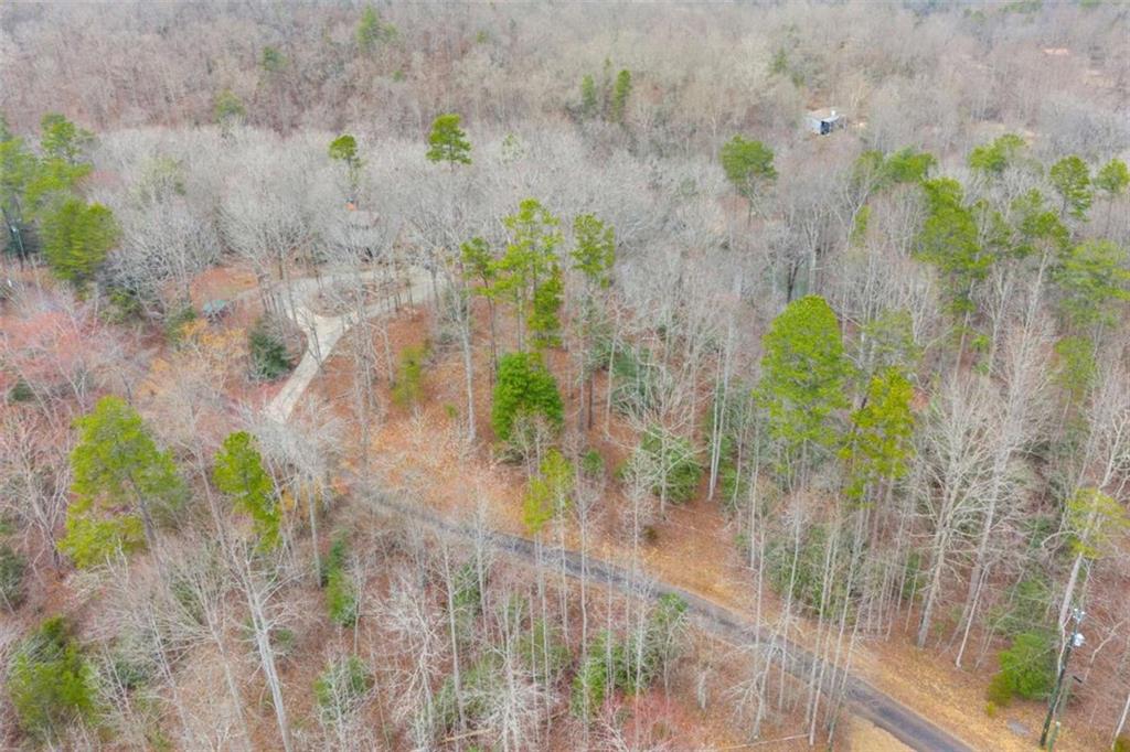 Lot 15 Old Timber Trail Cornelia, GA 30531 - Photo 23 of 31 a view of a bunch of plants and trees