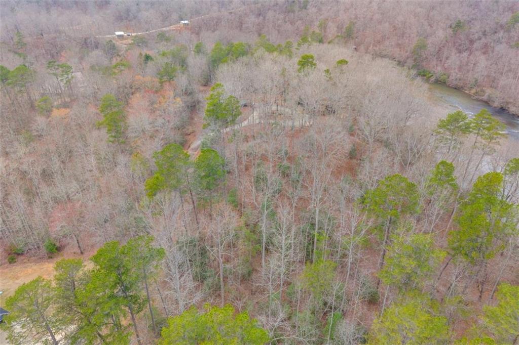 Lot 15 Old Timber Trail Cornelia, GA 30531 - Photo 24 of 31 a view of a garden with a flower