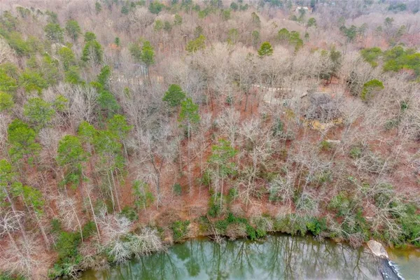 a view of a forest with trees
