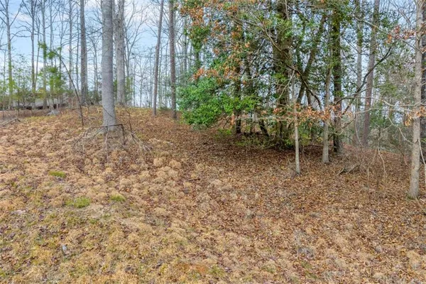 a view of a pathway with a wrought fence