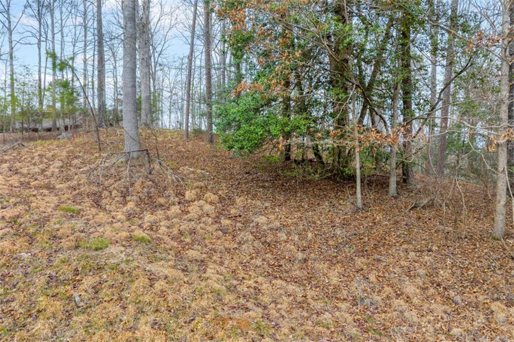 Lot 15 Old Timber Trail Cornelia, GA 30531 - Photo 27 of 31 a backyard of a house with lots of green space