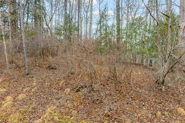 a view of a backyard of the house