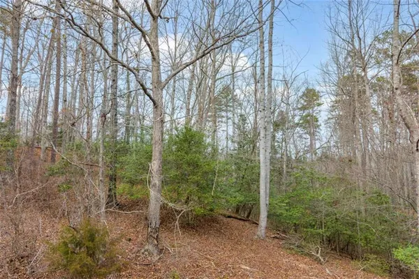 $160,000 | Lot 15 Old Timber Trail, Cornelia, GA 30531