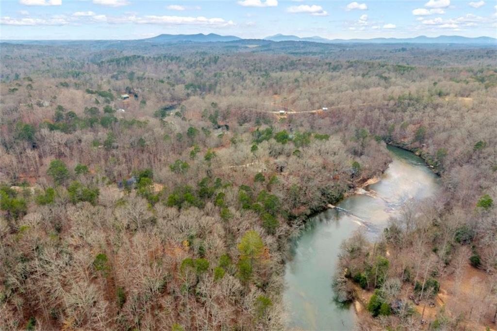 Lot 15 Old Timber Trail Cornelia, GA 30531 - Photo 7 of 31 a view of a yard with a forest