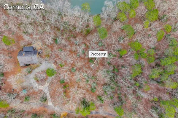 a view of a lake with a yard