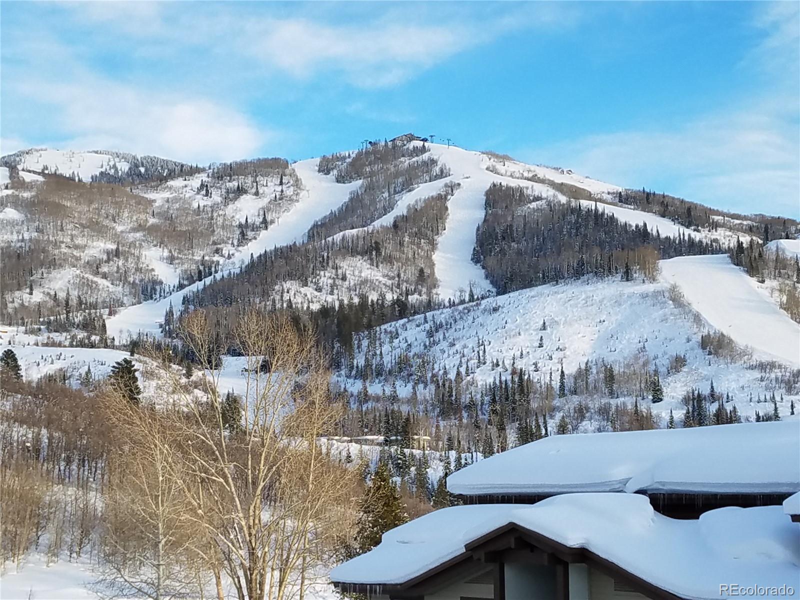 1700 Ranch Road, Unit 214 Steamboat Springs, CO 80487 - Photo 5 of 28 Gallery Image 5
