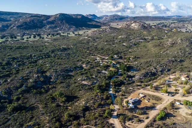 a view of a plant with a plant