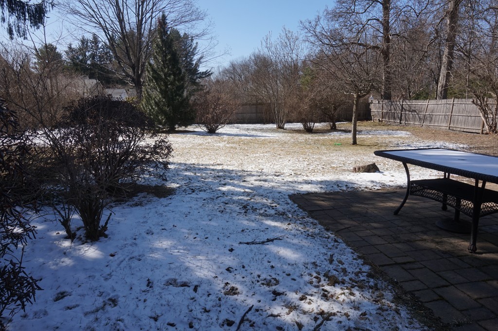 329 Mill Street Lancaster, MA 01523 - Photo 28 of 30 a view of a yard with wooden fence