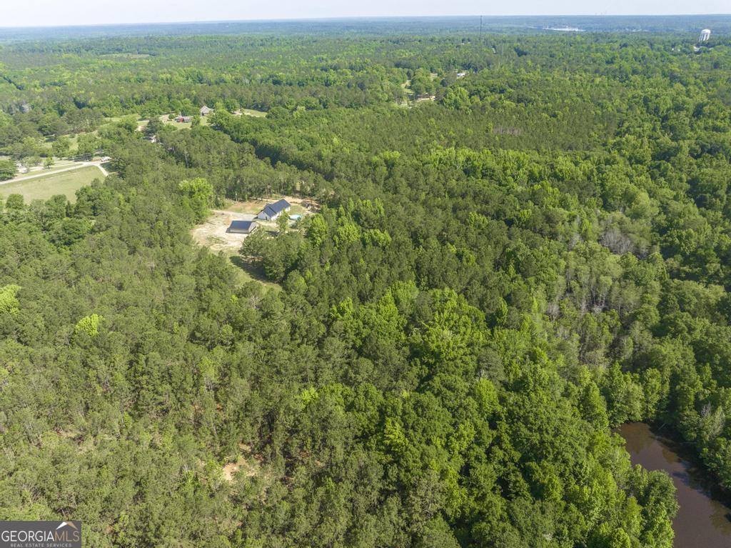 3270 Hamlin Road Lizella, GA 31052 - Photo 55 of 59