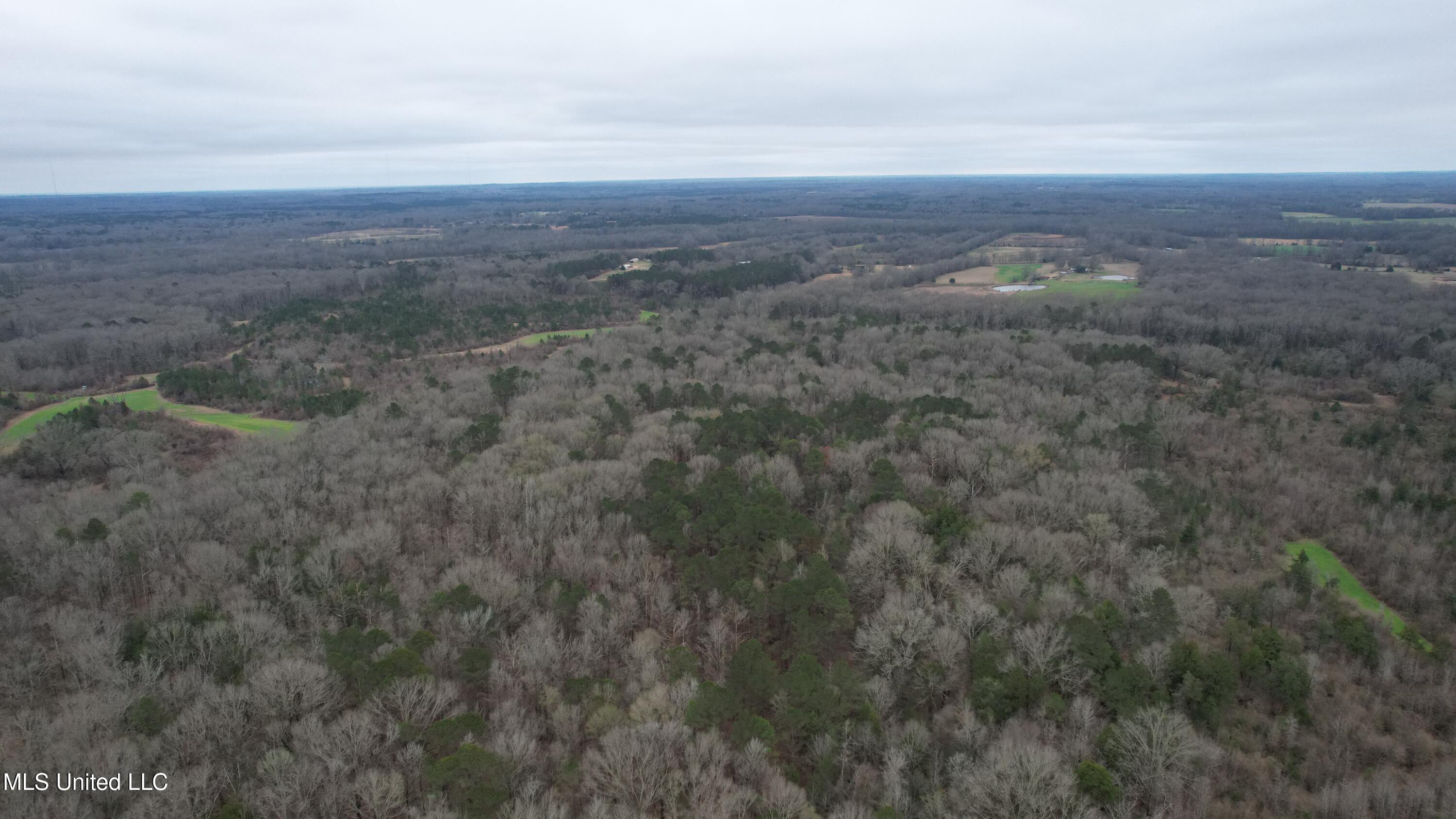 0 Ratliff Road Raymond, MS 39154 - Photo 2 of 9 DJI_0094