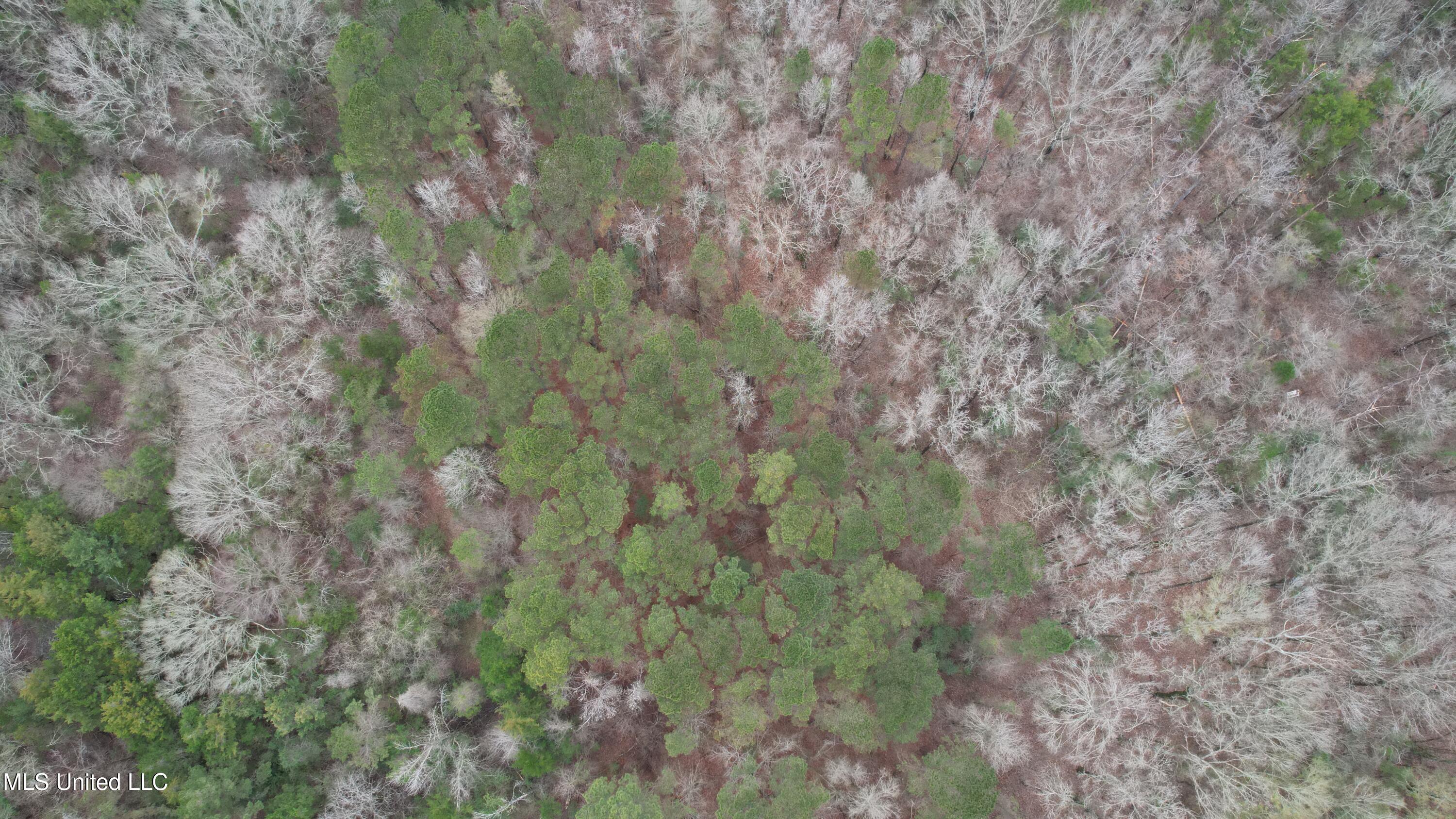 0 Ratliff Road Raymond, MS 39154 - Photo 4 of 9 DJI_0100