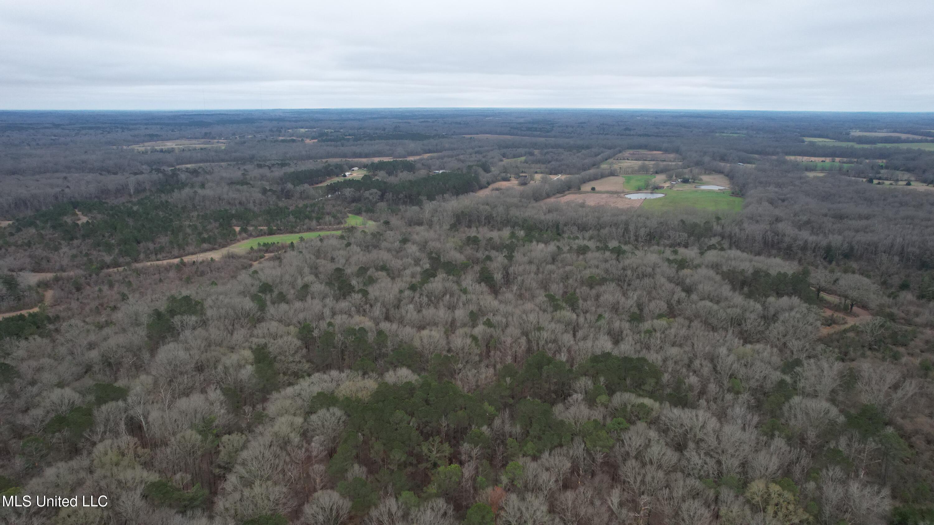 0 Ratliff Road Raymond, MS 39154 - Photo 5 of 9 DJI_0095