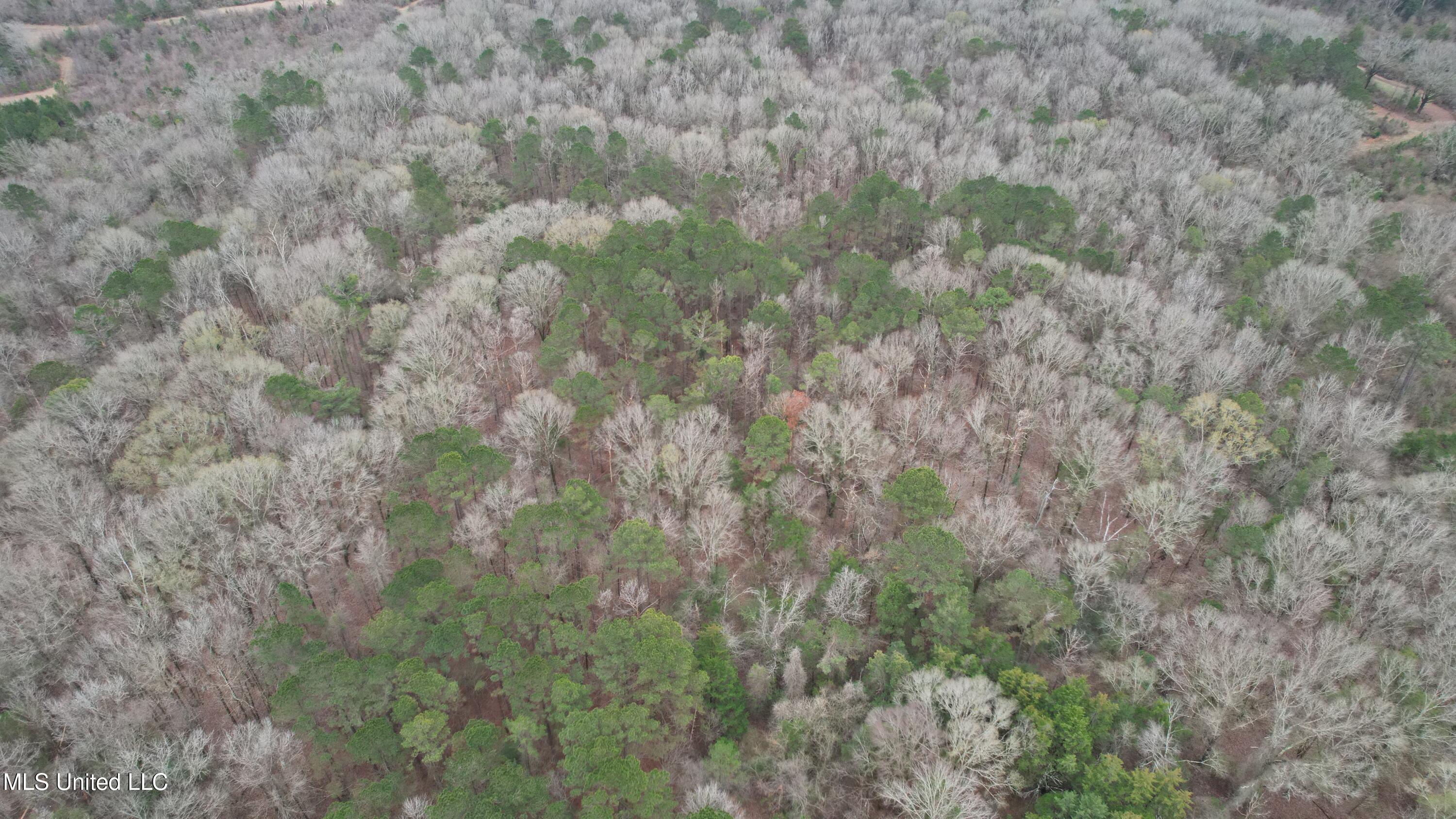 0 Ratliff Road Raymond, MS 39154 - Photo 6 of 9 DJI_0096