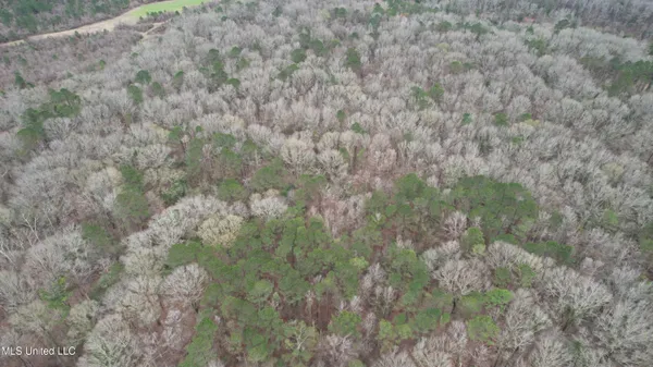 $69,000 | 0 Ratliff Road, Raymond, MS 39154