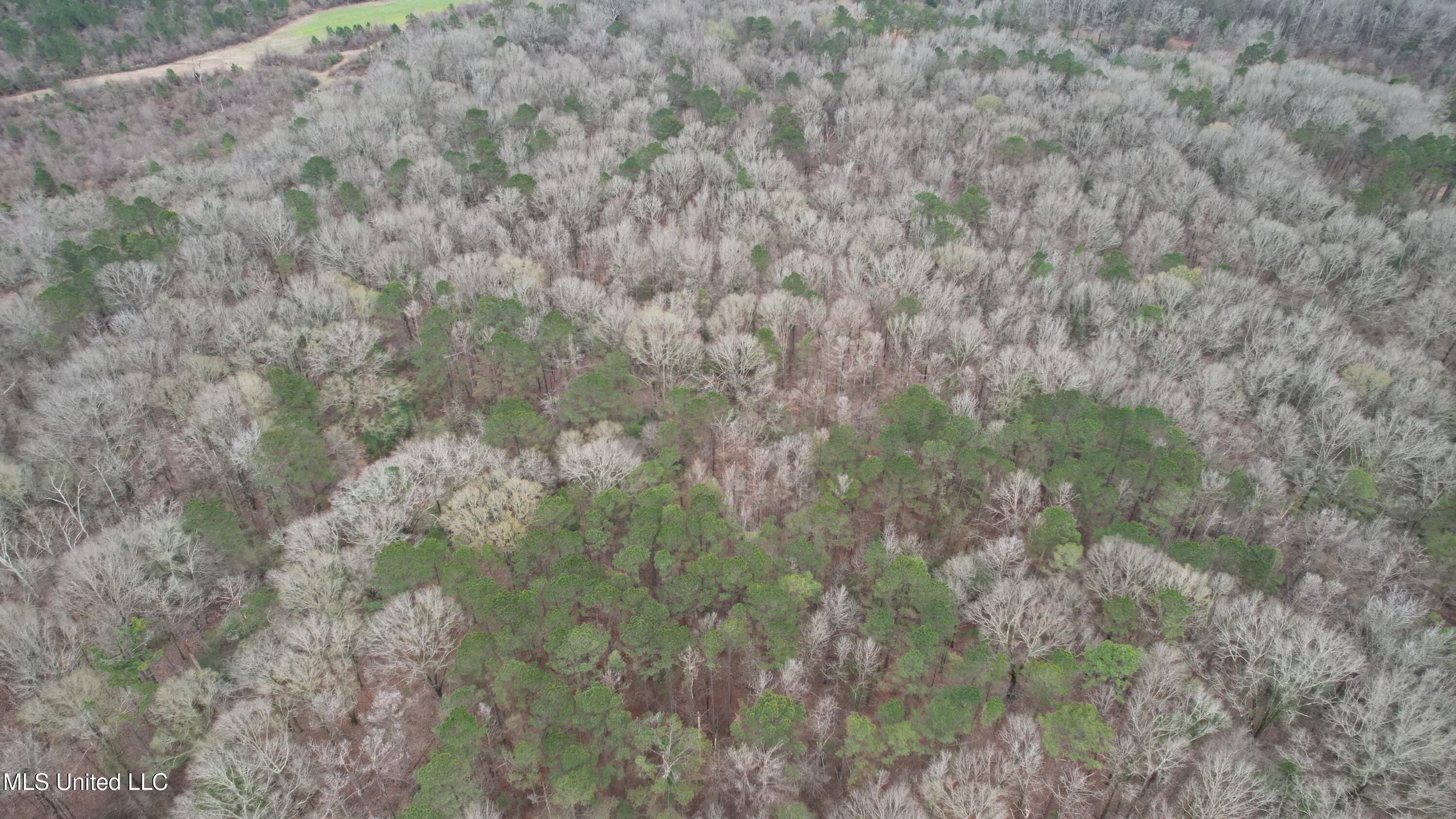0 Ratliff Road Raymond, MS 39154 - Photo 7 of 9 DJI_0097