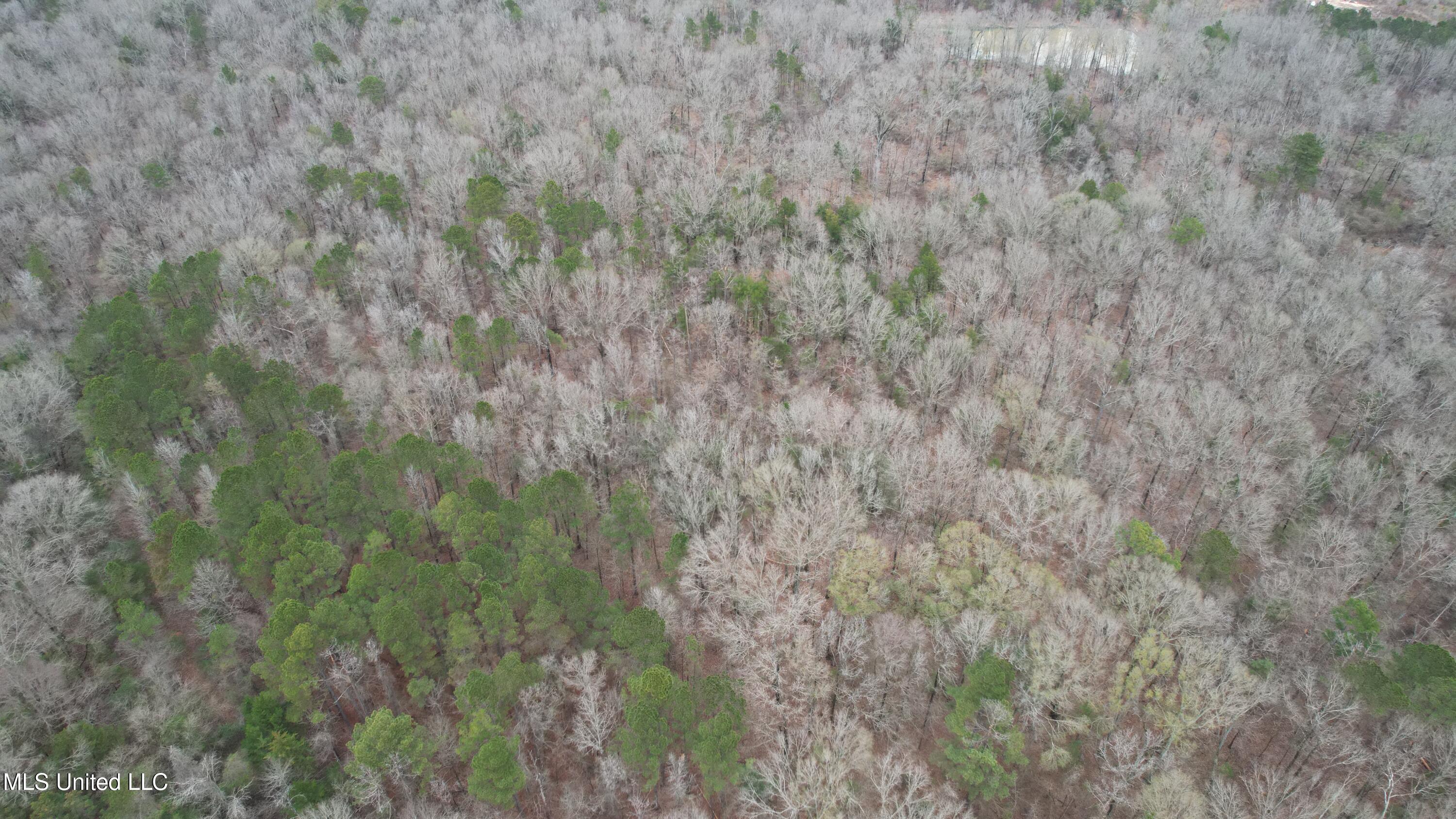 0 Ratliff Road Raymond, MS 39154 - Photo 8 of 9 DJI_0098