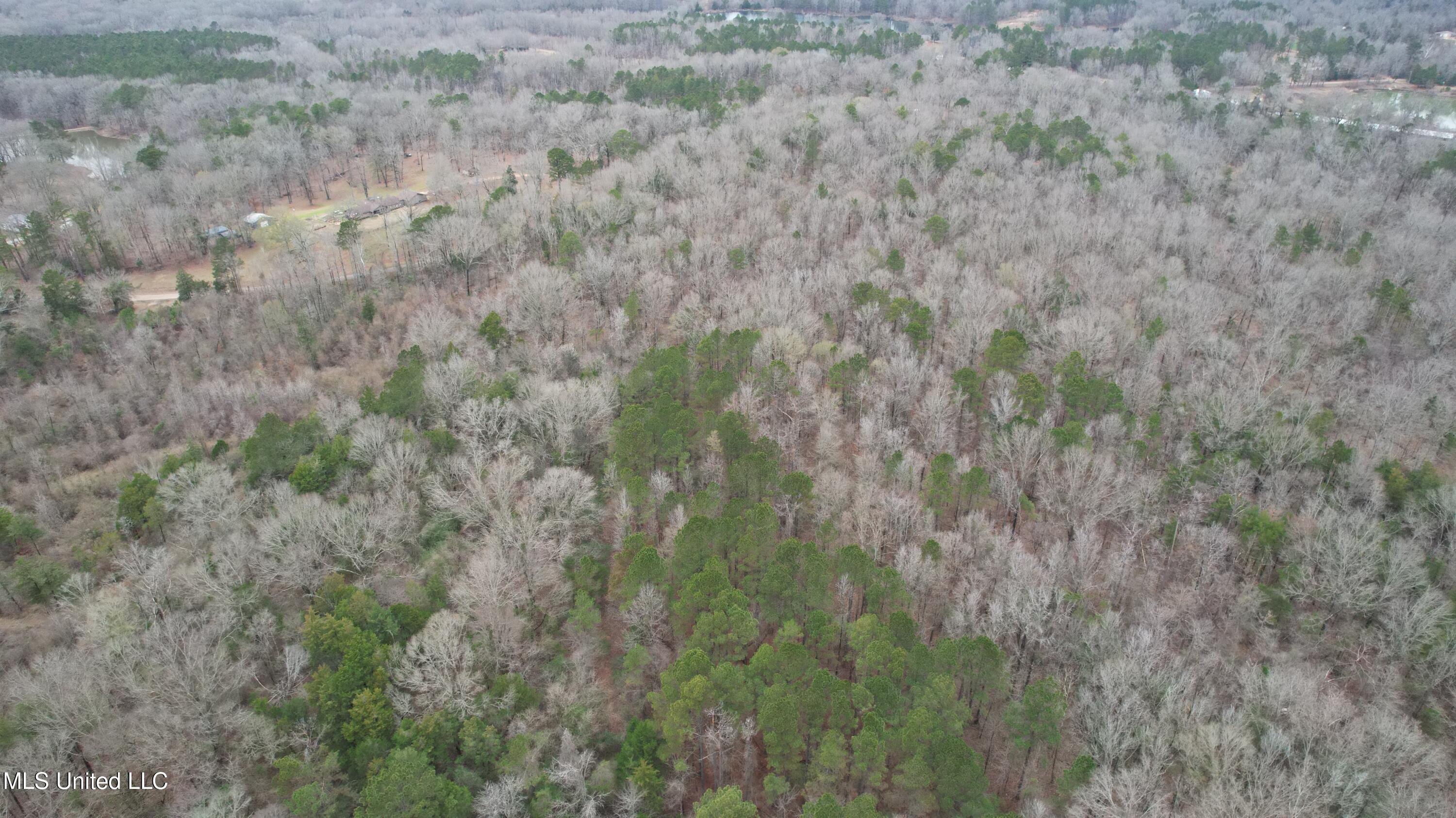 0 Ratliff Road Raymond, MS 39154 - Photo 9 of 9 DJI_0099