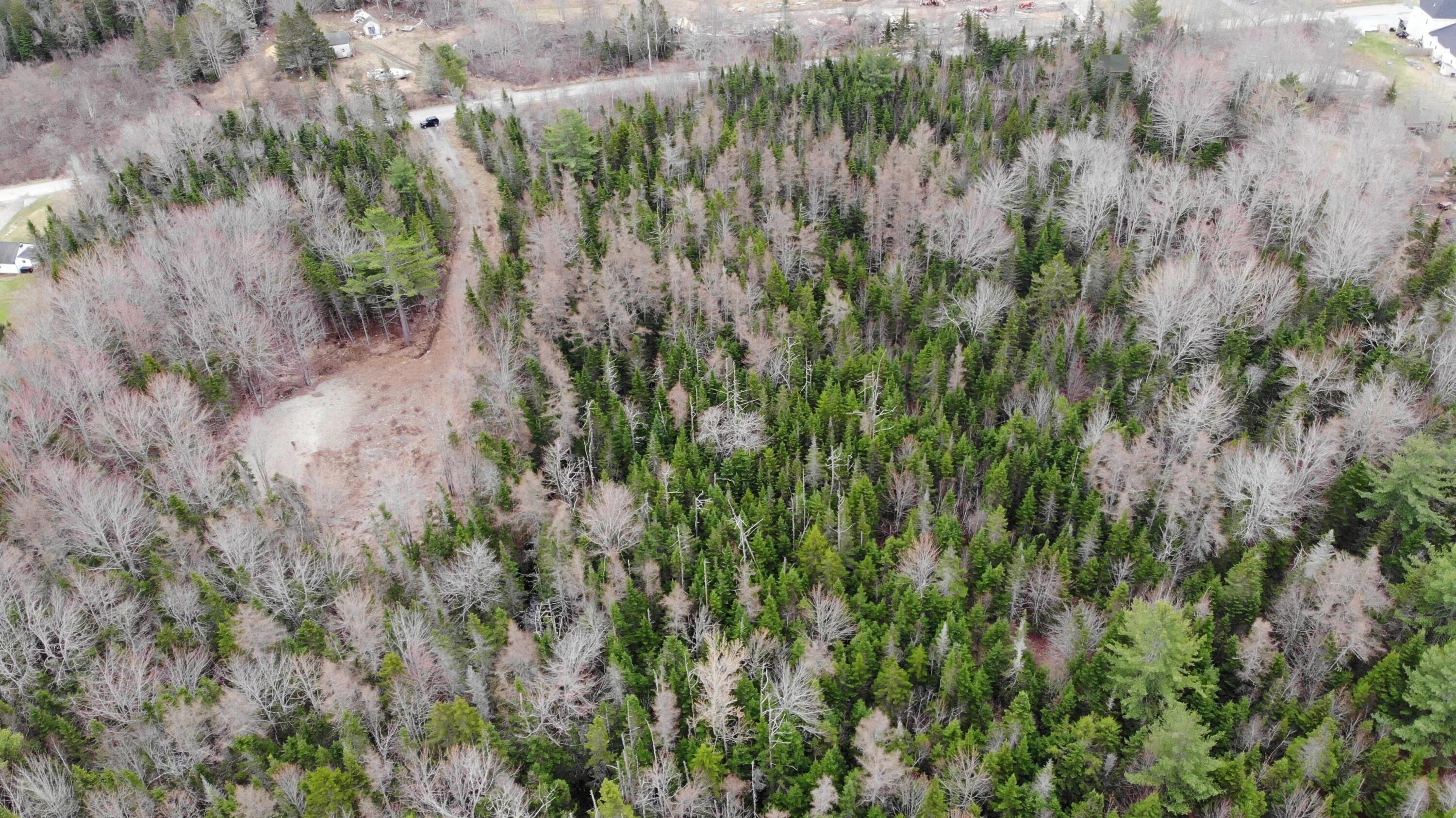 0 Kelley Road Milbridge, ME 04658 - Photo 10 of 28 DJI_0096 - frame at 4m21s