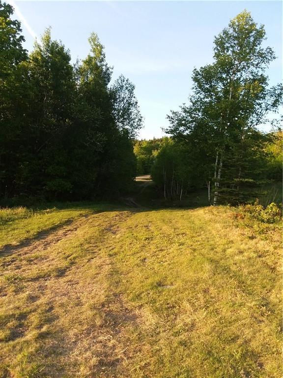 Lot 6 Moosehead Isle Road Greenville, ME 04441 - Photo 11 of 21 Photo